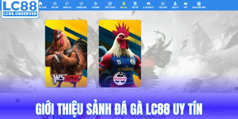 Giới thiệu sảnh đá gà LC88 uy tín