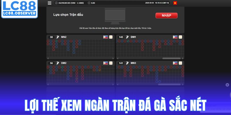 Lợi thế xem ngàn trận đá gà sắc nét